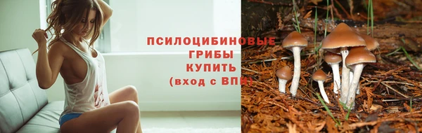 гашик Горняк