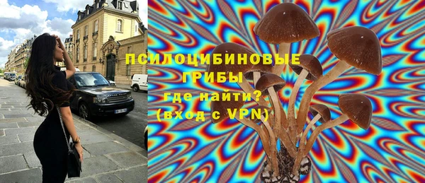 прущие крисы Горно-Алтайск