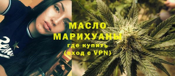 гашик Горняк