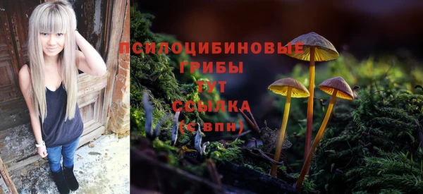 гашик Горняк