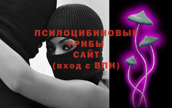 гашик Горняк