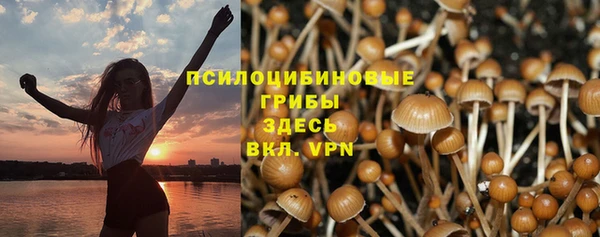 mdma Горнозаводск
