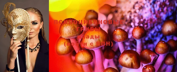 mdma Горнозаводск